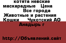 котята невские маскарадные › Цена ­ 18 000 - Все города Животные и растения » Кошки   . Чукотский АО,Анадырь г.